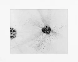 Jenny Banks Ink Artwork