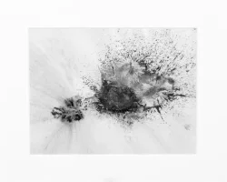 Jenny Banks Ink Artwork