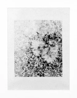 Jenny Banks Ink Artwork