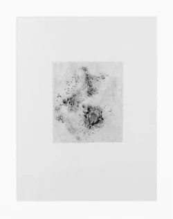Jenny Banks Ink Artwork