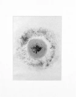 Jenny Banks Ink Artwork