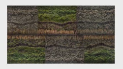 Composite of tree line details