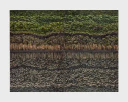 Composite of tree line details