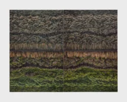 Composite of tree line details