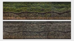 Composites of tree line details