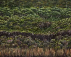 Painting of tree line detail